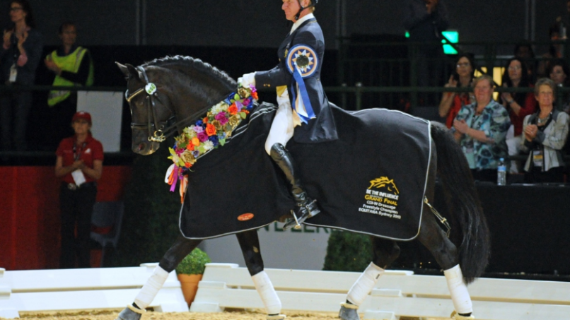 EA Suspends Olympic Equestrian For Whipping Horse For Over 40