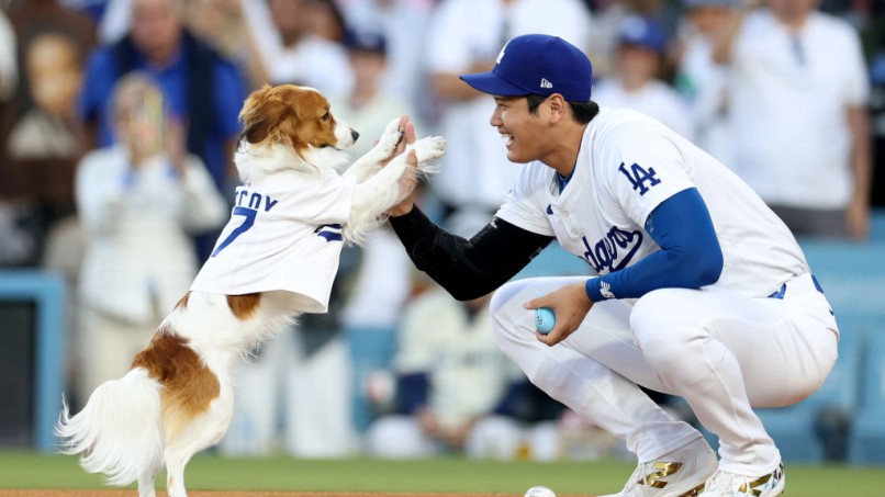 Shohei Ohtani Children’s Book: 'Decoy Saves Opening Day' Coming in