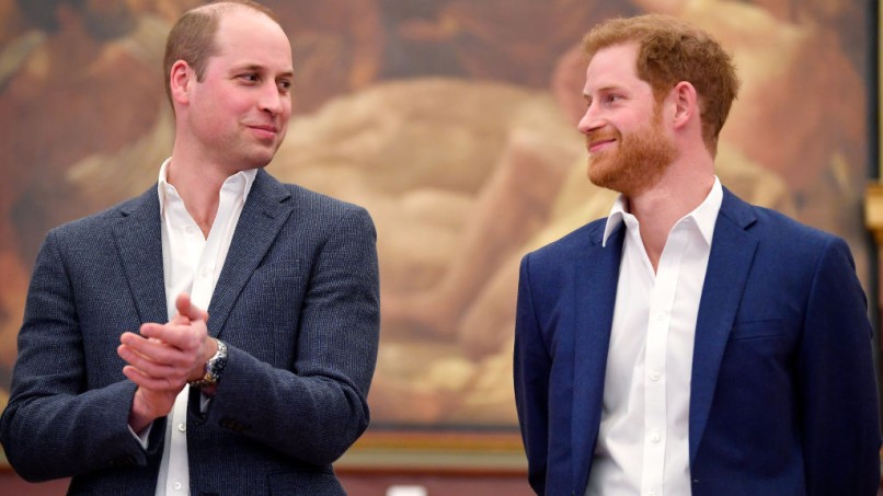 Former Royal Aide Shares Rare Insight into Prince William, Prince