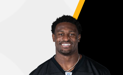 DK Metcalf Swings at Lions Fan in Surprising Ford Discipline Second Caught on Dwell TV