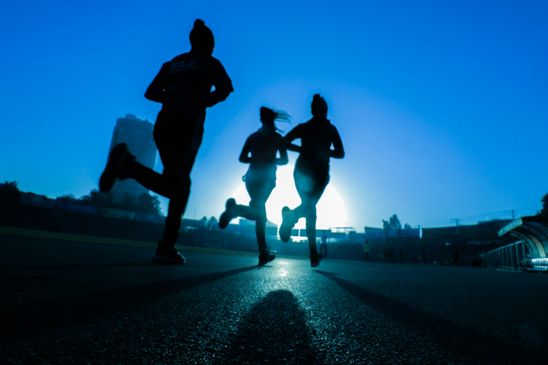 Prime 5 Half-Marathon Ideas for Newbies in 2025