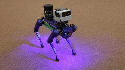 Robot Dog