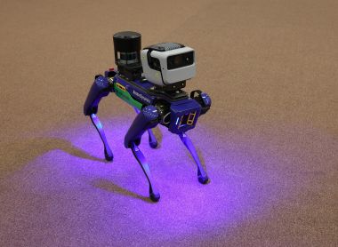 Robot Dog