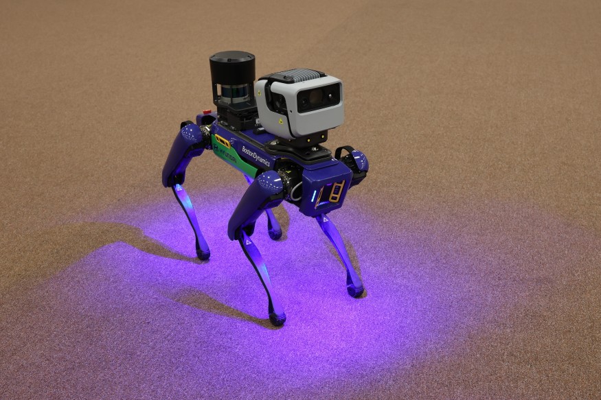 Robot Dog