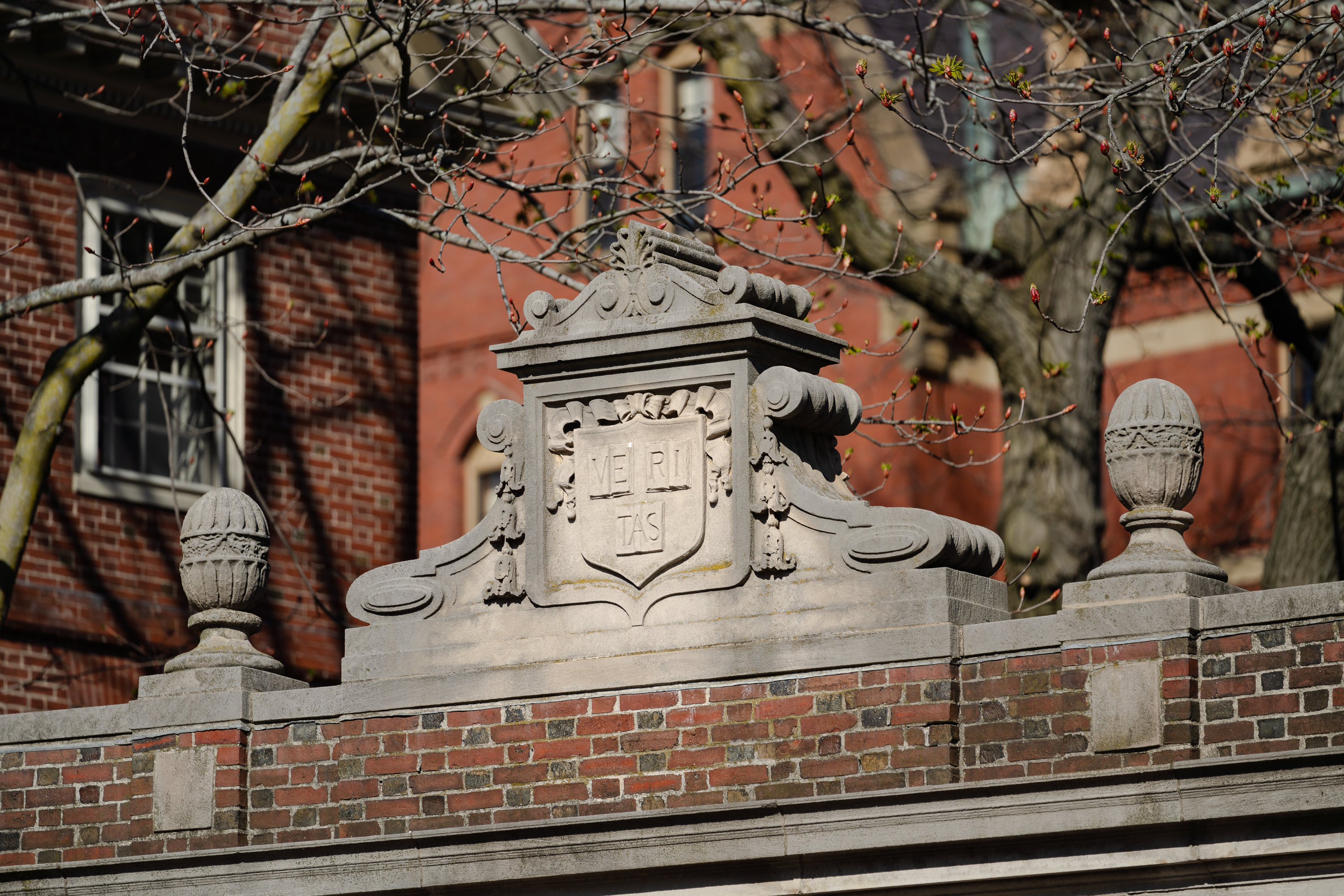 Xaden Benson’s 4 Takeaways Elevate No. 25 Harvard Over Brown 14-10 in Ivy Opener